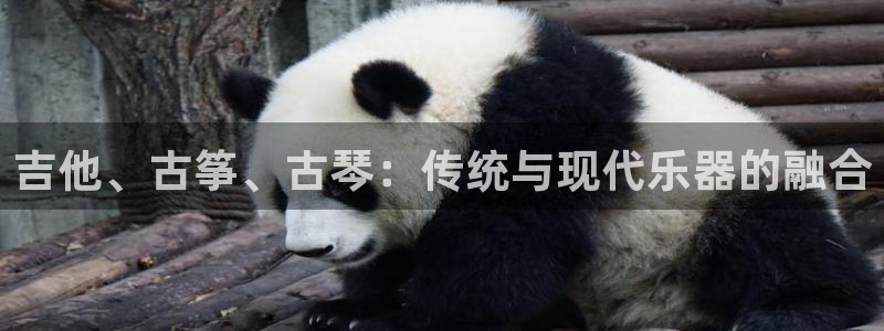 凯发k8娱乐品牌导航:吉他、古筝、古琴:传统与现代乐器的融合