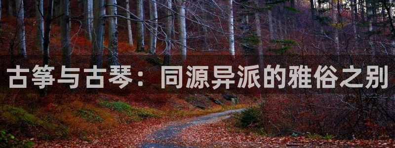 凯发k8娱乐旗舰:古筝与古琴:同源异派的雅俗之别