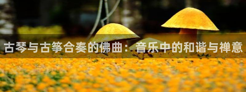 凯发国际平台登录入口官网:古琴与古筝合奏的佛曲:音乐中的和谐