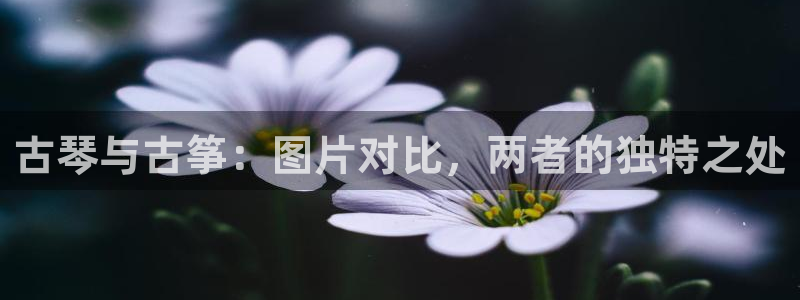 凯发k8国际官网可靠吗:古琴与古筝:图片对比,两者的独特之处