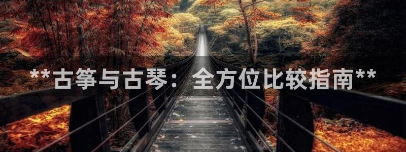 凯发注册app在线:**古筝与古琴:全方位比较指南**